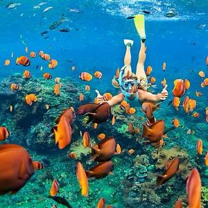 Snorkel Rentals