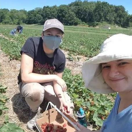 A sure sign of early summer in Wisconsin: strawberry picking!