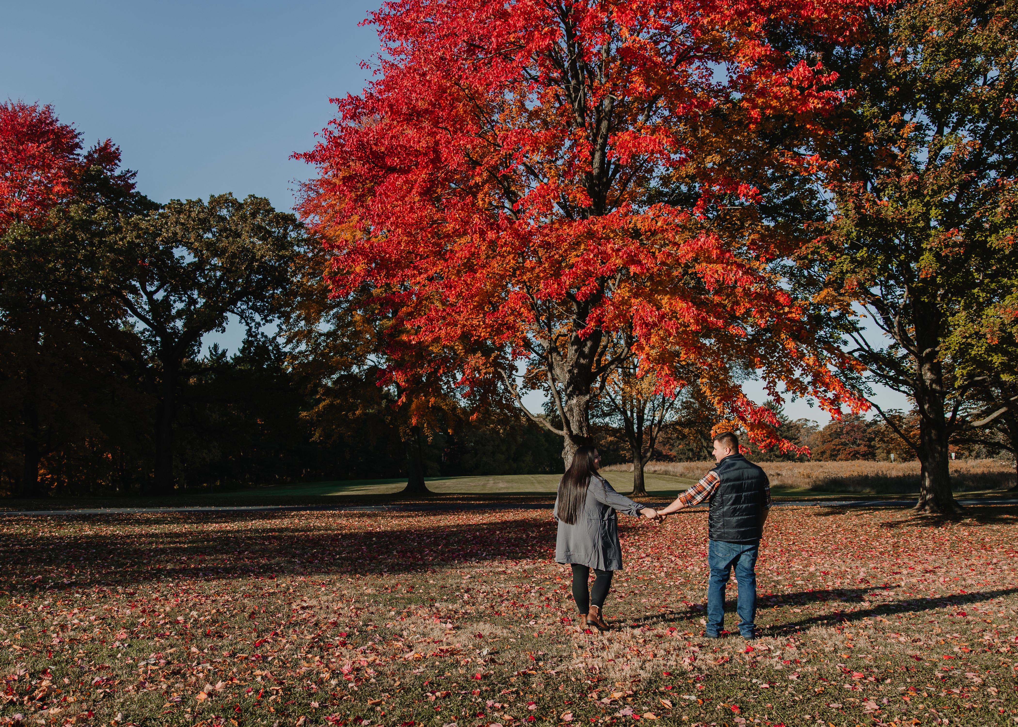 28b56753-b7e5-4086-9e9d-bf55e6d078d4