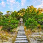 Old Baldy Hill