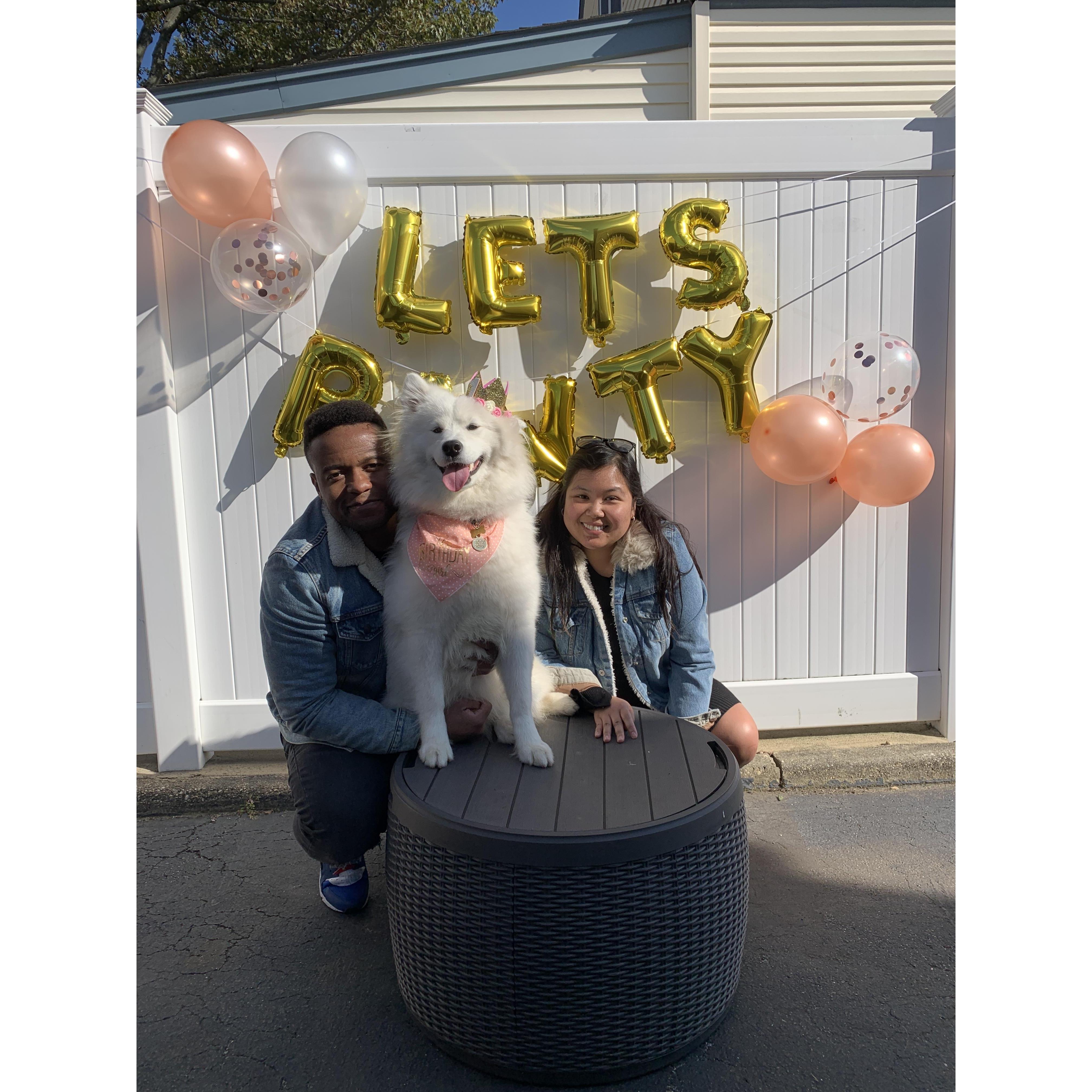 Nova's First Birthday // November 2019
