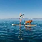 Activity: Paddle Board Rentals