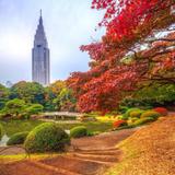 Shinjuku Gyoen National Garden