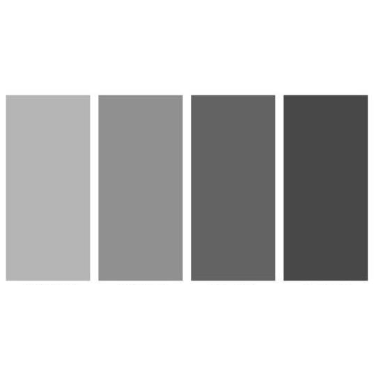 Men's Color Palette