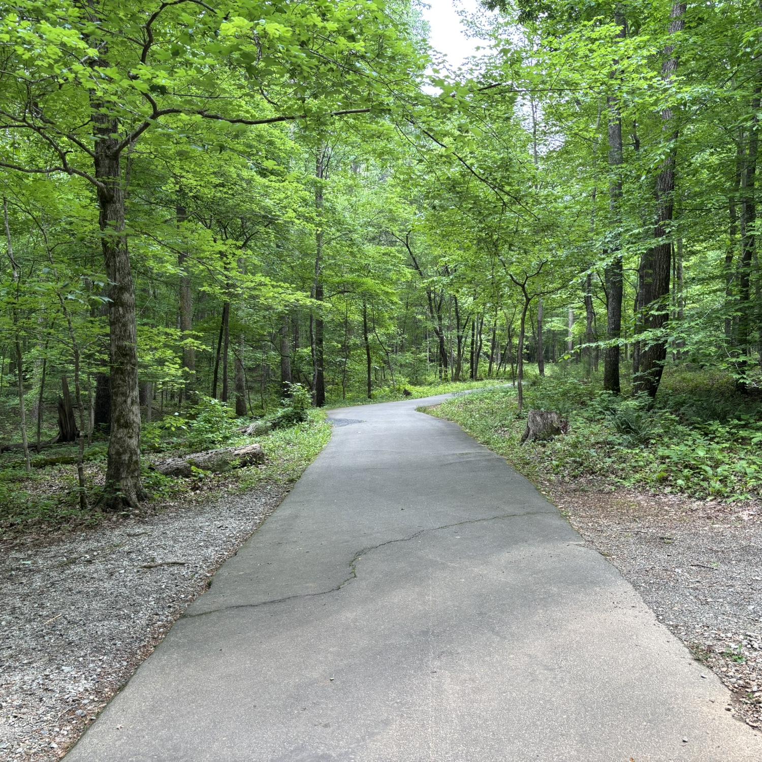 Path to/from the Observation Deck