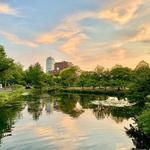 The Charles River Esplanade