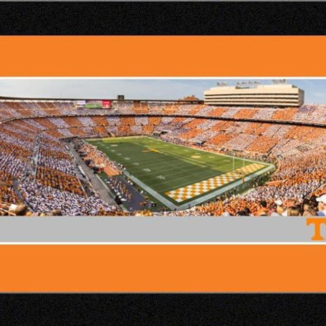 Tennessee Football - 16.625 x 8.125-inch Framed Picture