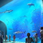St. Louis Aquarium at Union Station