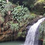 Annandale Waterfall & Forest Park