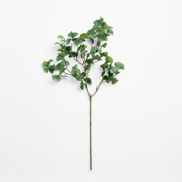 Faux Green Ginkgo Branch 51"
