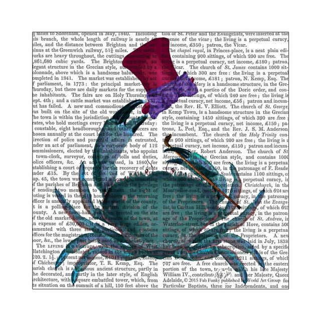 Thirstystone Fishing Lines Coasters Set of 4 - The Dandy Crab