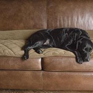 Grip-Tight™ Quilted Furniture Protector