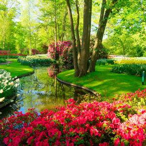 Garden Fund