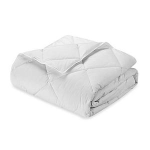 Robin Wilson Home Hypoallergenic Lightweight Warmth Down Alternative King Comforter