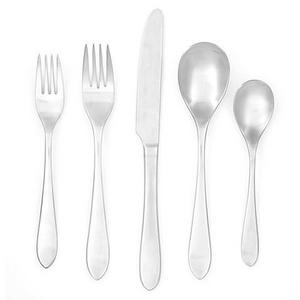 Cambridge® Silversmiths Meridian Satin 20-Piece Set