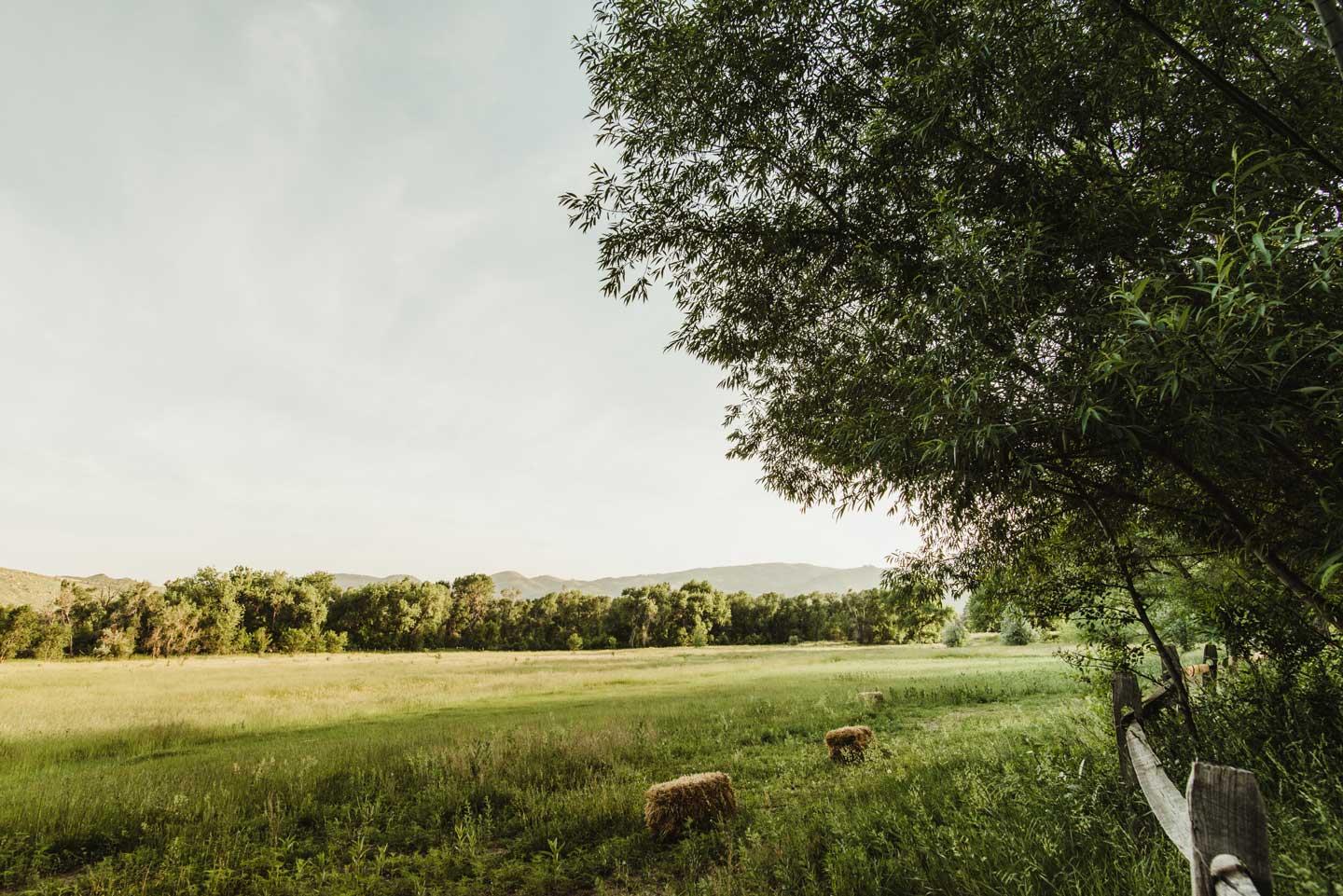 The Wedding Website of Marisa Occhiogrosso and Brett Hiller
