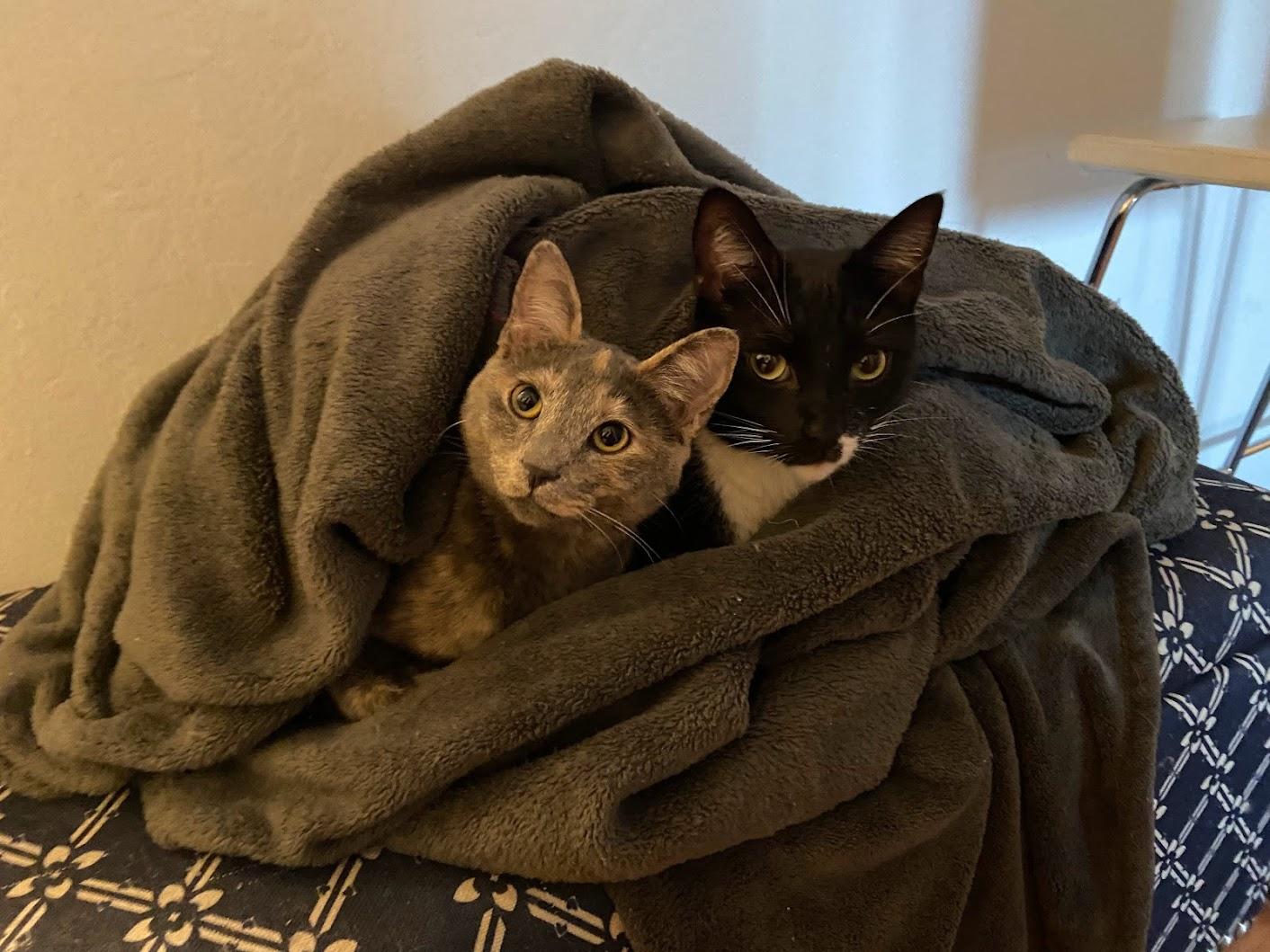 The Wedding Website of Laura Ong and Thomas Hoekman