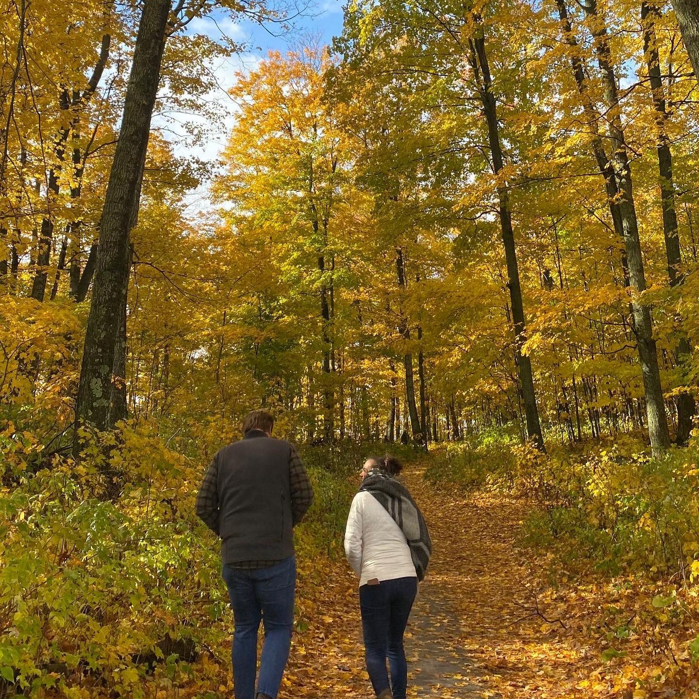 Fall had us falling. Beautiful colors in Harbor Springs