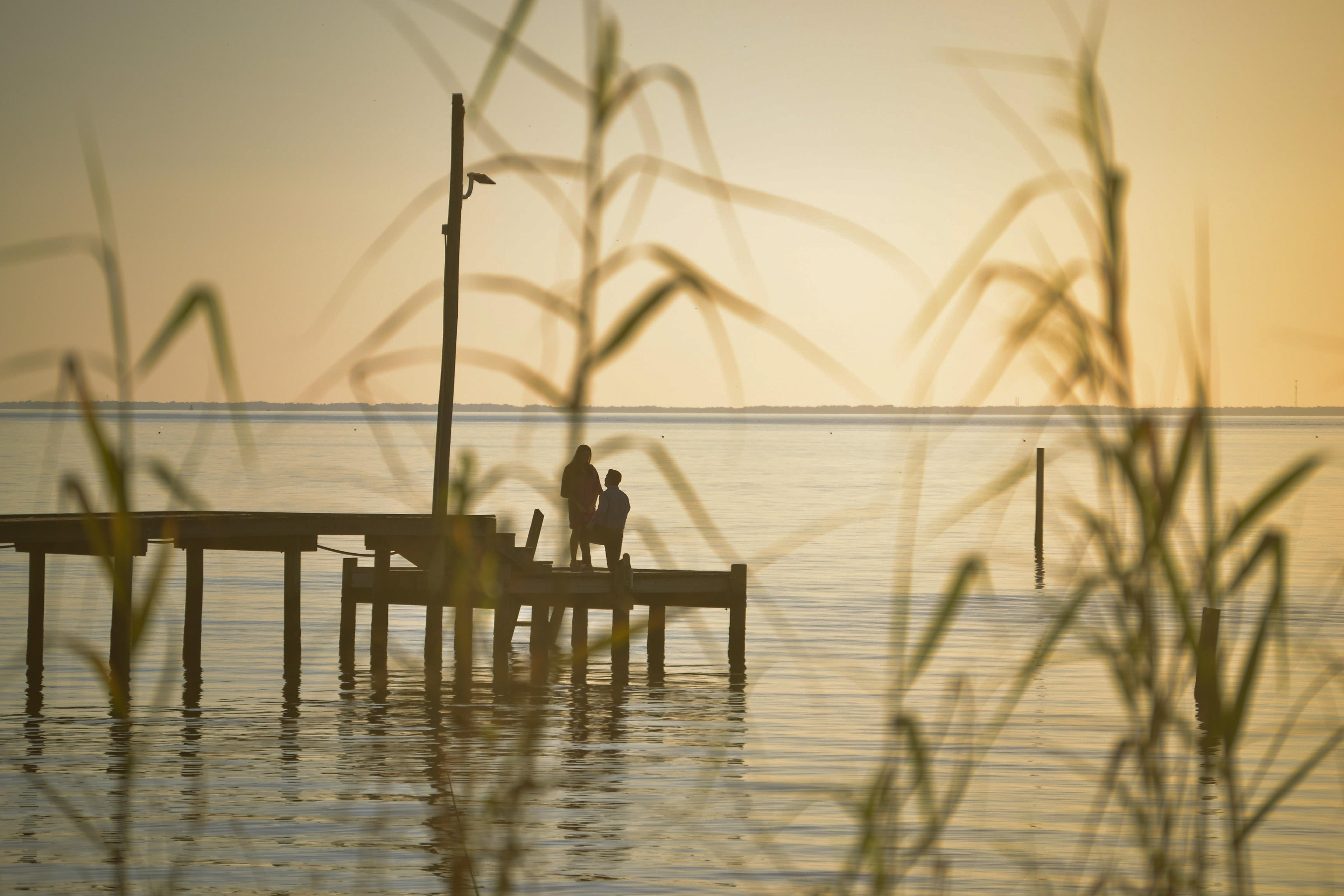 The Wedding Website of Isabella Seoane and Peter Ford