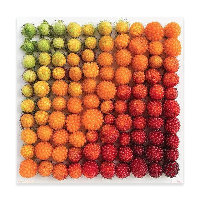 Genuine Fred SALMONBERRIES by Emily Blincoe, 500-piece Puzzle, 20x20 inches