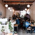 Drink: Cicatriz (FSQ Rating: 8.6)