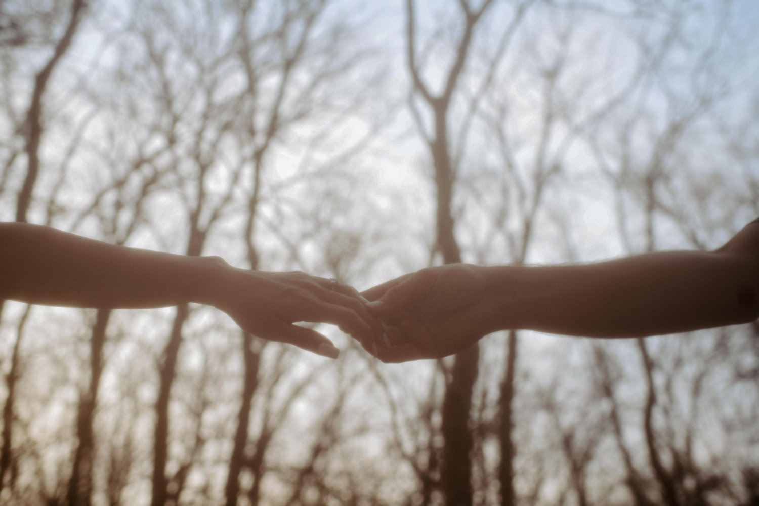The Wedding Website of Hailey Freeman and Shane McGuire