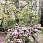 Grand Forest (West)