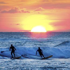 Surf Lessons