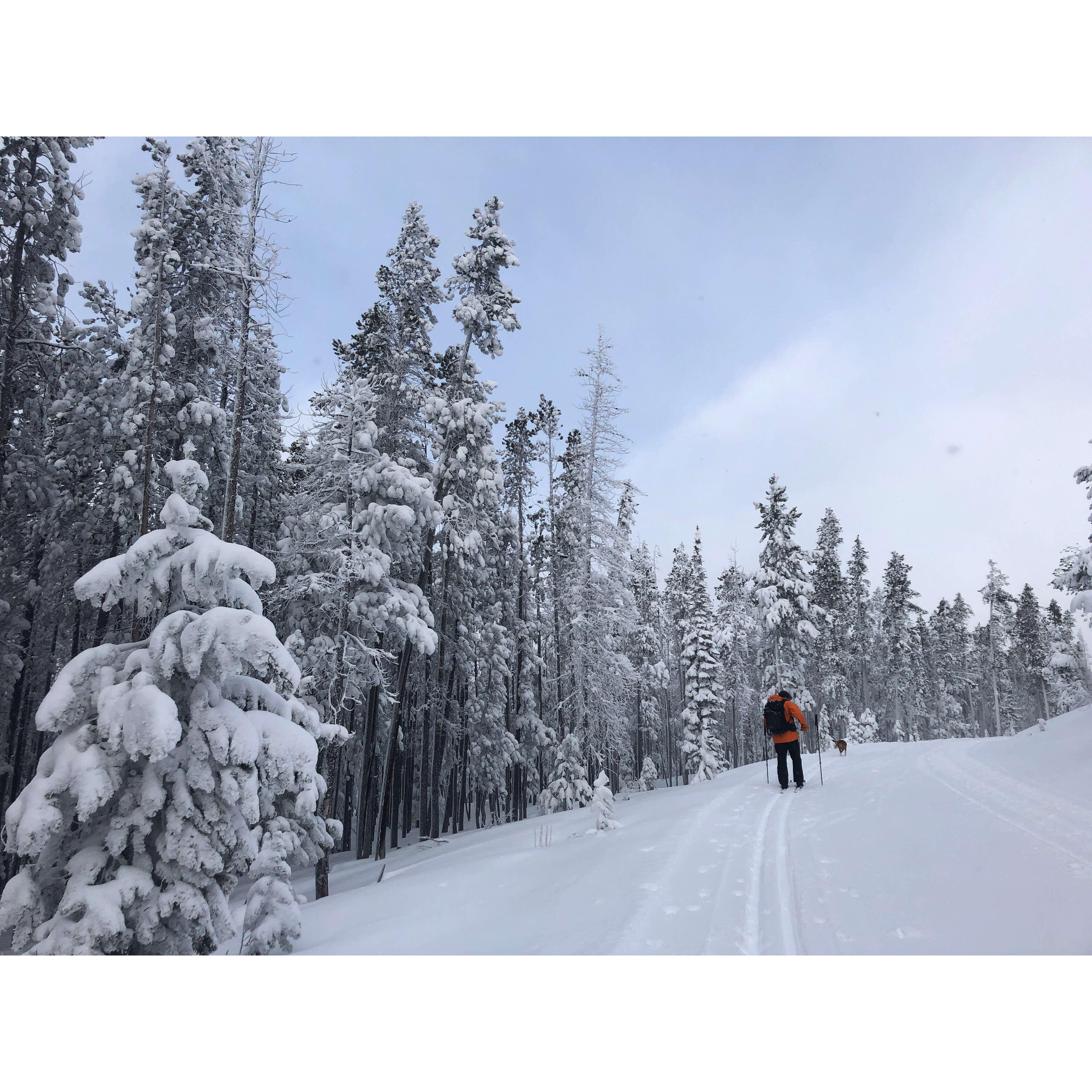 Skiing at Chief Joseph Pass 2020