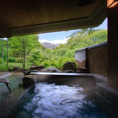 Onsen Experience for 2