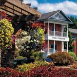 Woodinville Wine Country