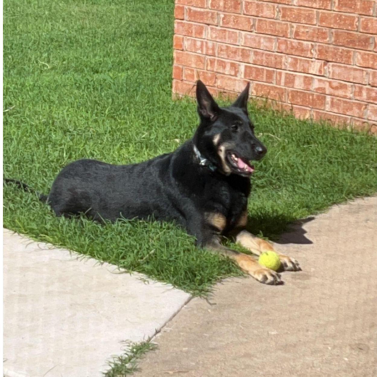 Amara sun bathing