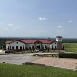 Piccione Vineyards
