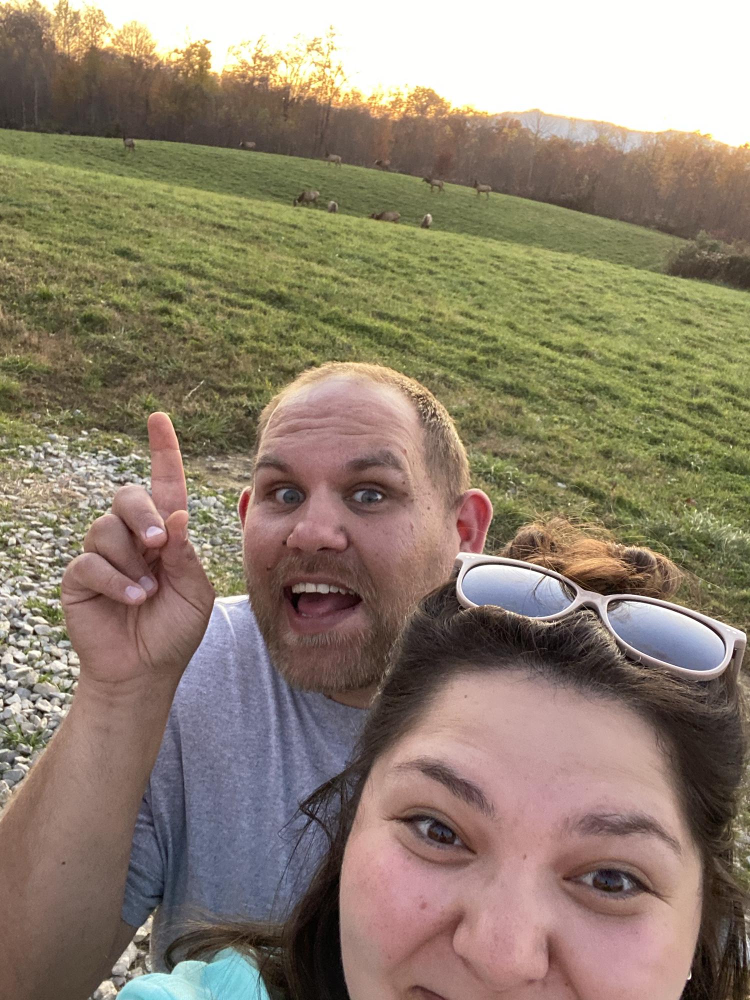 Elk we found in TN ❤️🦌