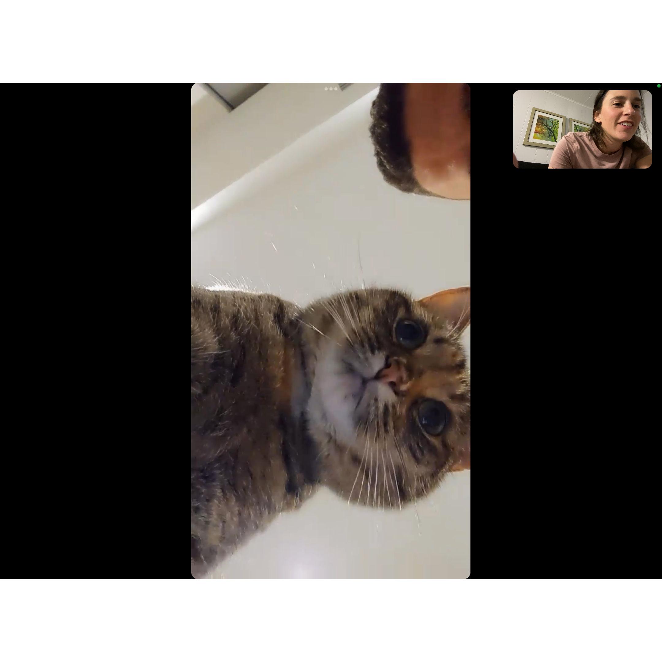 Many facetimes during travels of residency