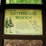 Cathedral Pines State Natural Area