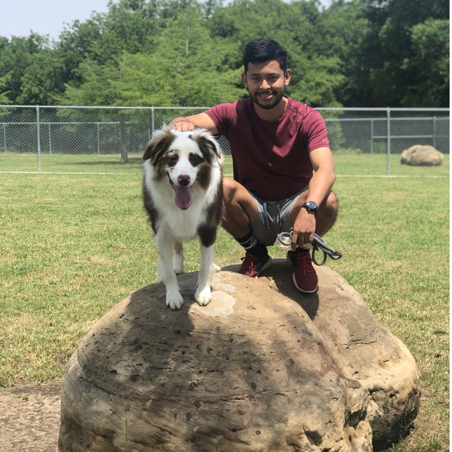 Mans Best Friend