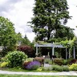 Bellevue Botanical Garden
