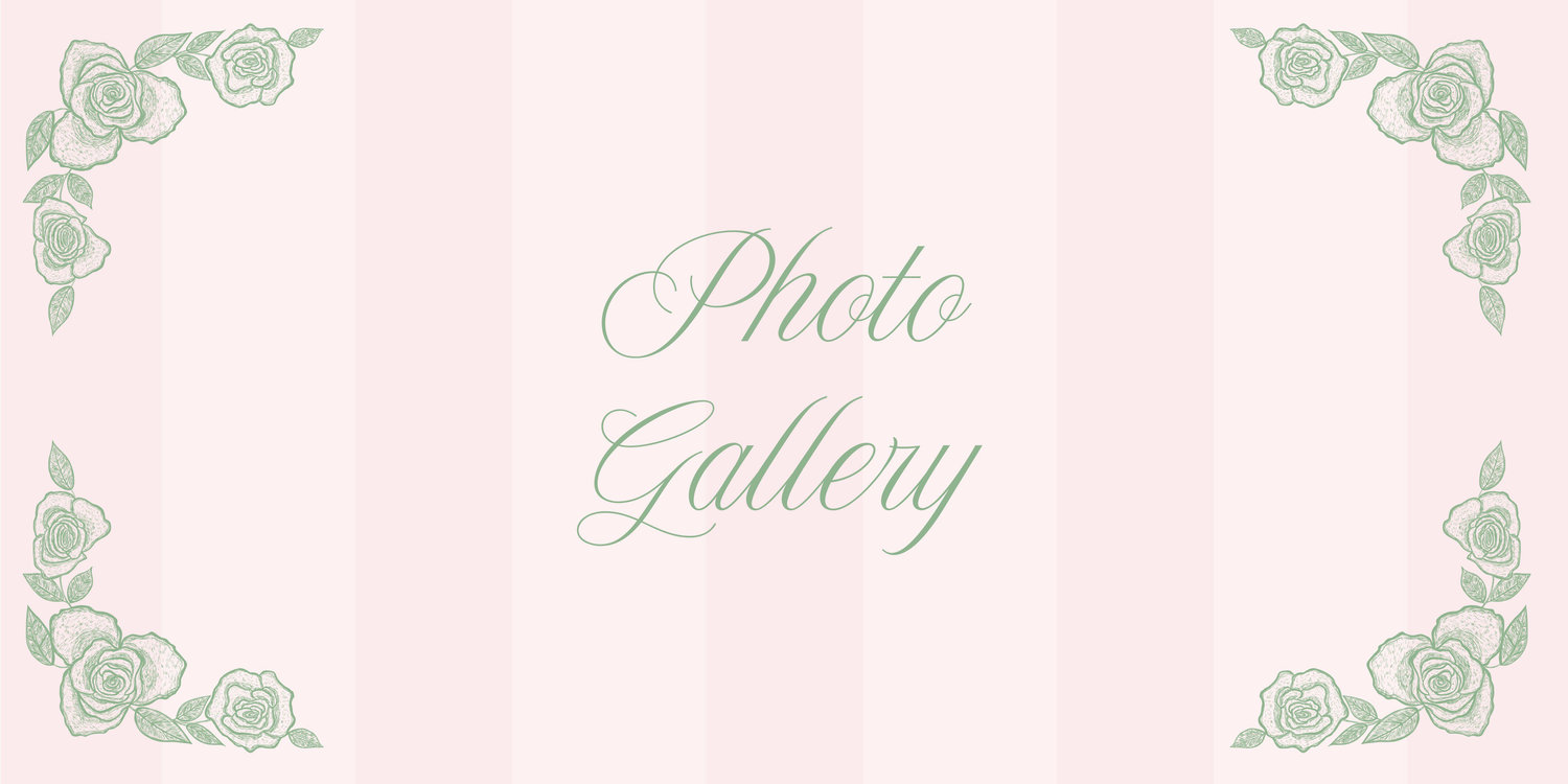 The Wedding Website of Jesse McLeroy and Nicholas Tygielski