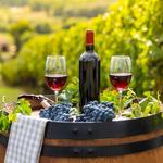 Winery Tour
