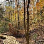 Nalley Brown Nature Park