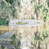 Magnolia Plantation and Gardens