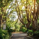 San Diego Botanic Garden