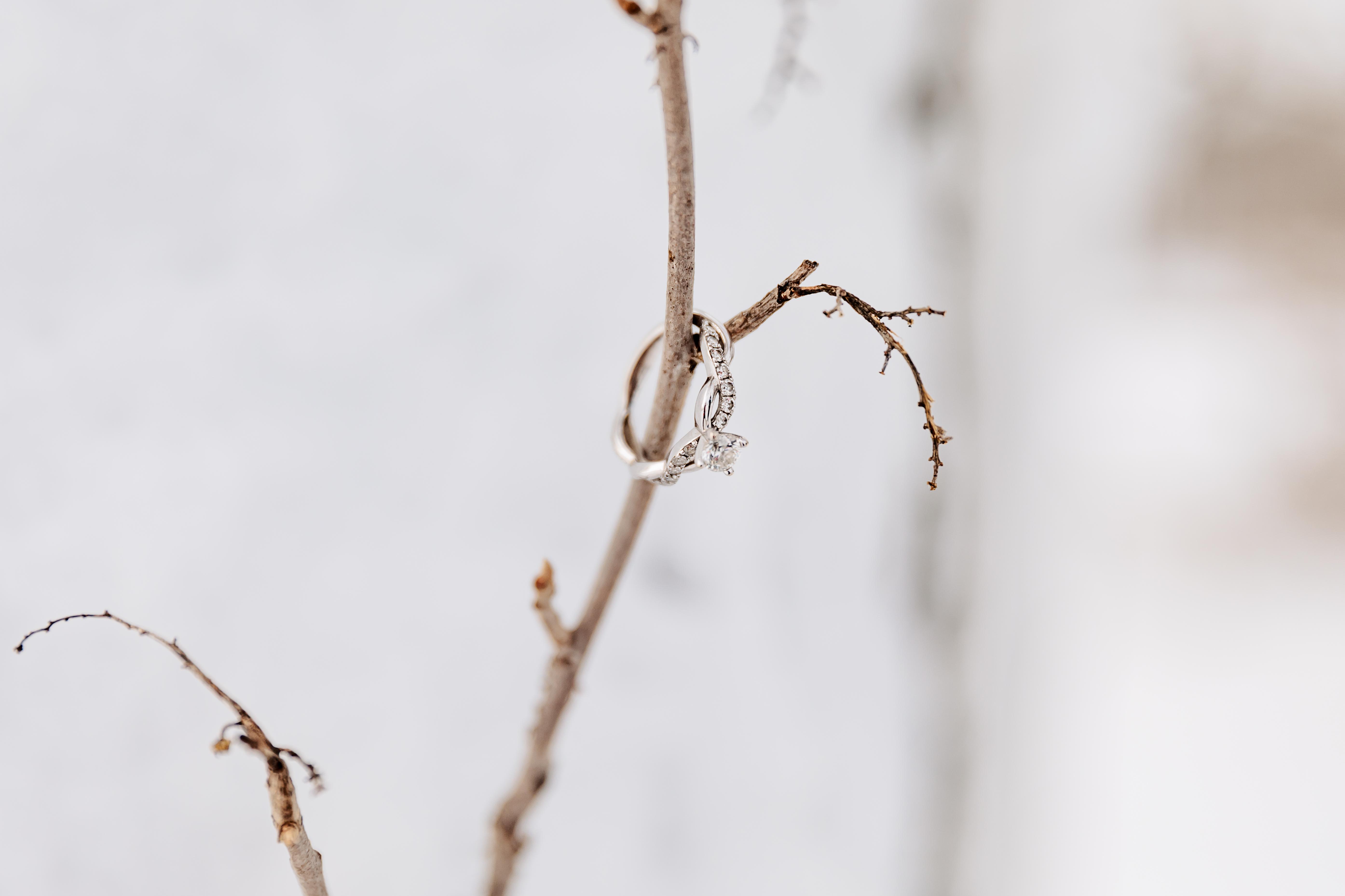 The Wedding Website of Rebecca Wray and Jakob Hegyi