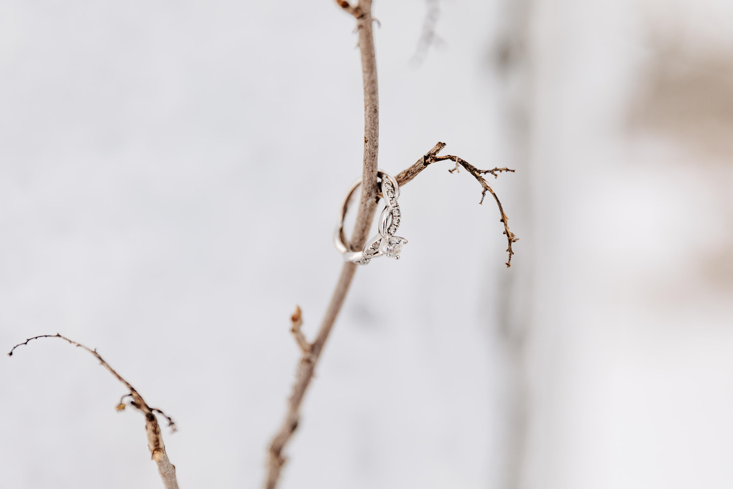 The Wedding Website of Rebecca Wray and Jakob Hegyi