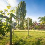 Wine and Cider Tour