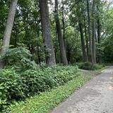 Olentangy Trail