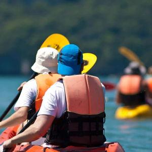 Honeymoon Excursion