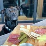 Meat & Cheese Restaurant and Farm Shop