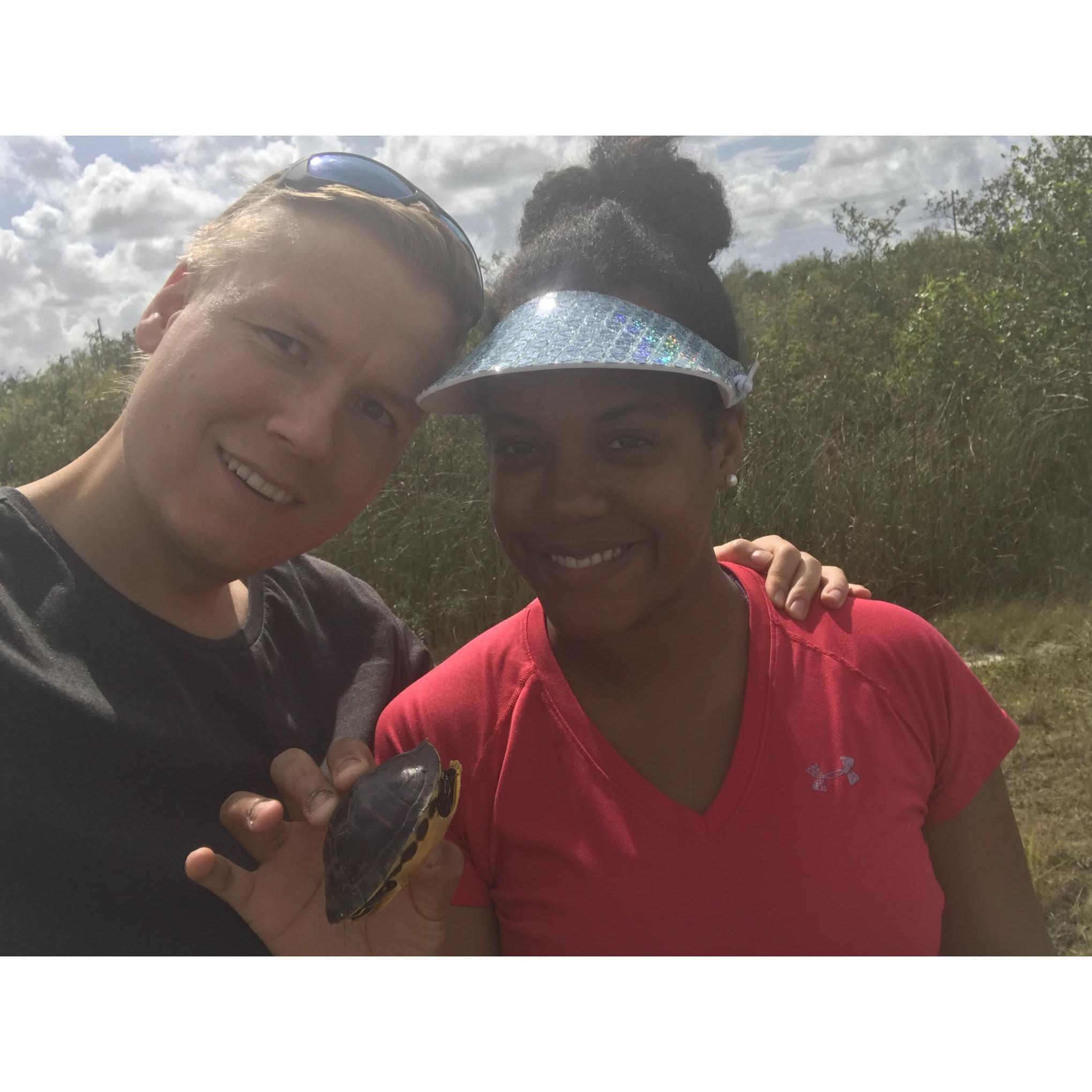 on Everglades